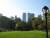 Central Park