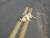 Et Paf le chien...