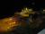 Le port